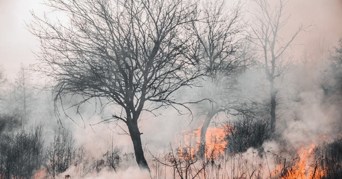 Wildfire smoke residue on a home's interior surfaces in Ventura County